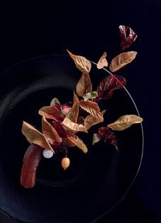 'Autumn leaves' caramelised apple with clotted cream, malted meringues and salted buckwheat toffee