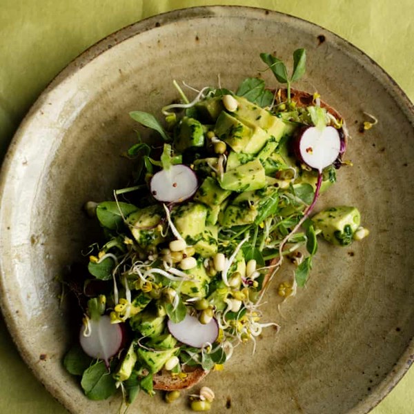 Avocado and sprouted seeds