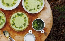 Avocado, cucumber and fennel soup