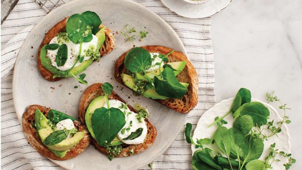 Avocado pesto mozzarella tartines