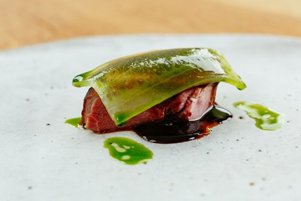 Aylesbury duck breast with hoisin