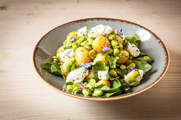  Baby broad bean, new potato and fresh goat’s cheese salad with chive flowers