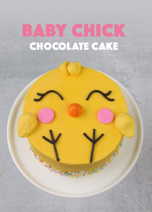 Baby chick chocolate cake