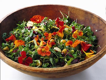 Baby greens with roasted beets and potatoes