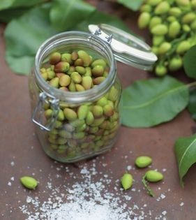 Baby pistachio preserve (Moraba-ye chaghaleh-ye pesteh)