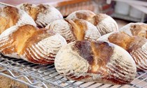 Baguettes with poolish