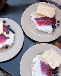 Baked Alaska bombe