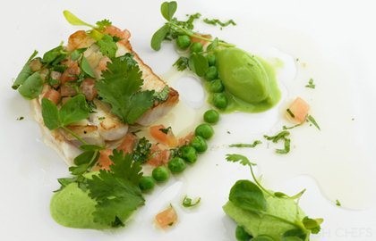 Baked Alaska halibut with pea mousse and sauce vierge