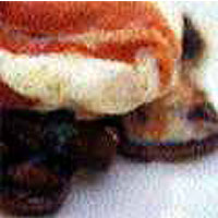 Baked buffalo mozzarella with prosciutto and aubergines