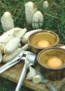 Baked egg and ink caps