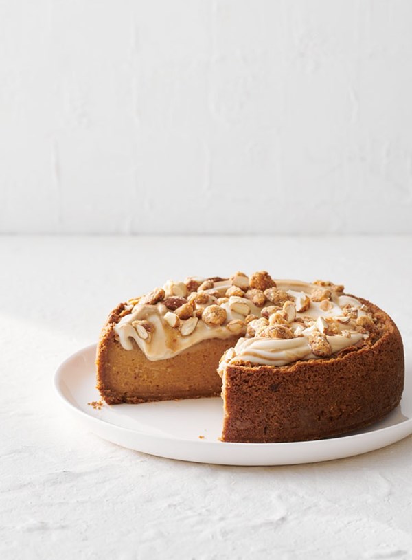 Baked fudge yoghurt cheesecake