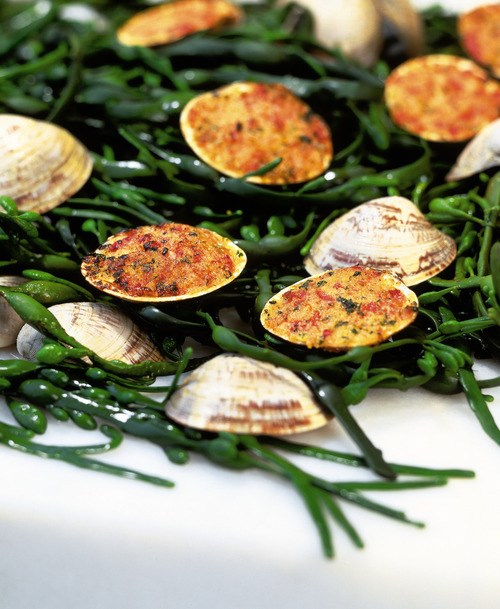 Baked littleneck clams with prosciutto