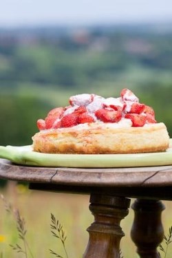 Baked vanilla and lemon cheesecake with marinated strawberries