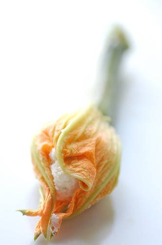 Baked zucchini blossoms with ricotta and basil oil