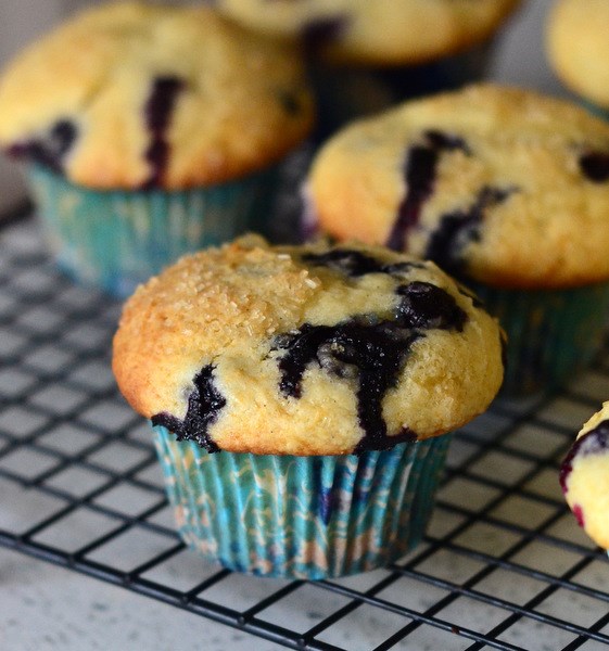 Bakery-style buttermilk blueberry muffins