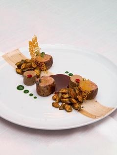 Ballotine duck