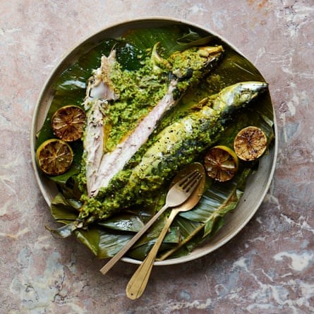 Banana leaf mackerel