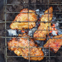 Barbecued chicken fillets with molasses sugar and lime