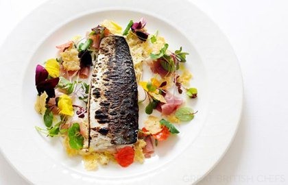Barbecued mackerel with celeriac mayonnaise