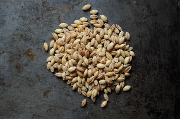 Barley bowl