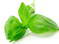 Basil and walnut pesto