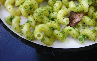 Basil Asiago pesto