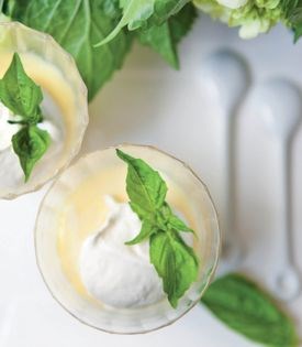 Basil-infused custard with lemon Chantilly cream