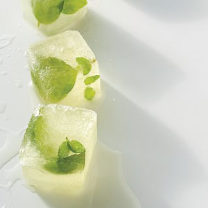 Basil-vermouth ice cubes