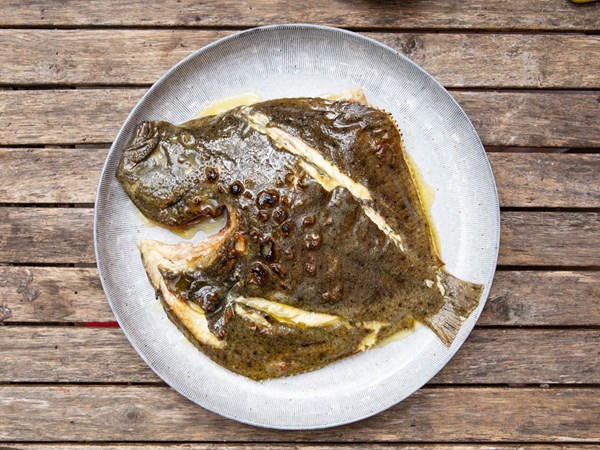 Basque-style grilled whole turbot 