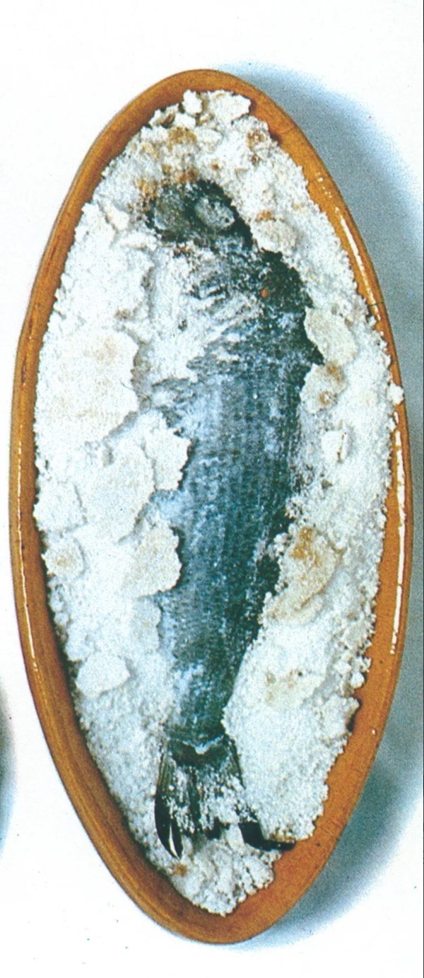 Bass cooked in seaweed (Bar aux algues)