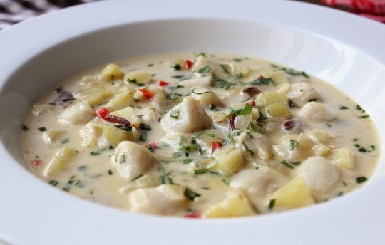 Bay scallop chowder