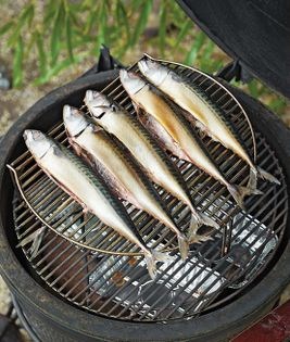 Beech-smoked mackerel