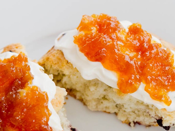 Bellini jam