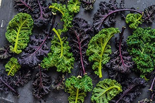 Beluga lentils and wilted curly kale with fennel and anchovy dressing