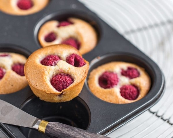Berry financiers
