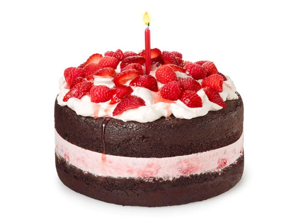 Berry ice cream cake