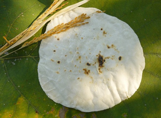 Bhakri (indian unleavened rice bread)