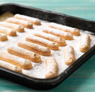 Biscuit sponge
