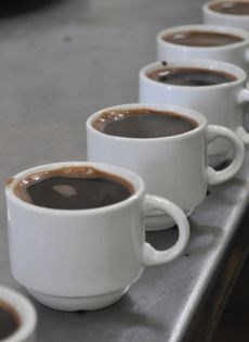 Bitter coffee with cardamom (Ahwa sada)