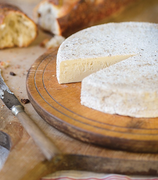 Black and white truffled Brie