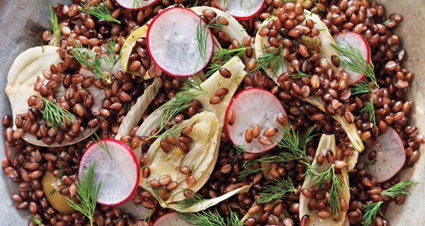 Black barley, fennel, and radish salad 