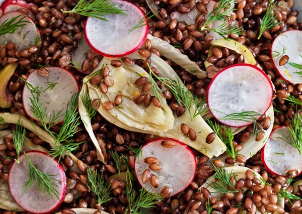 Black barley, fennel, and radish salad