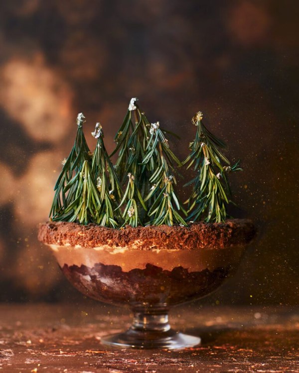 Black Forest ‘forest’ [trifle]