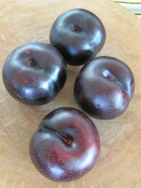 Black plum black pepper gelato 
