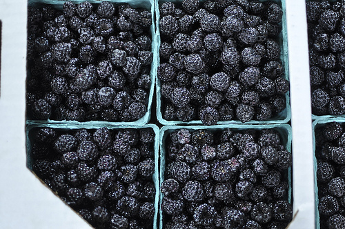 Black raspberry syrup