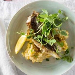 Black sea bass with summer squash polenta