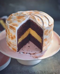 Black top & bottom ganache layered cake with toasted meringue