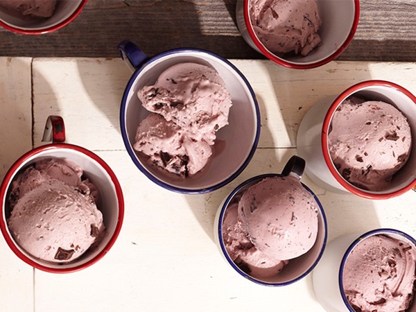 Blackberry chip ice cream