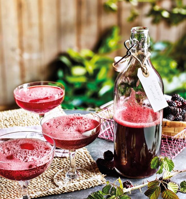 Blackberry fizz