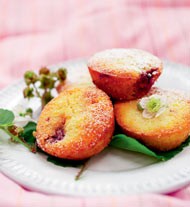 Blackberry friands